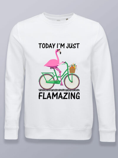 Sudadera sin capucha estoy flamante