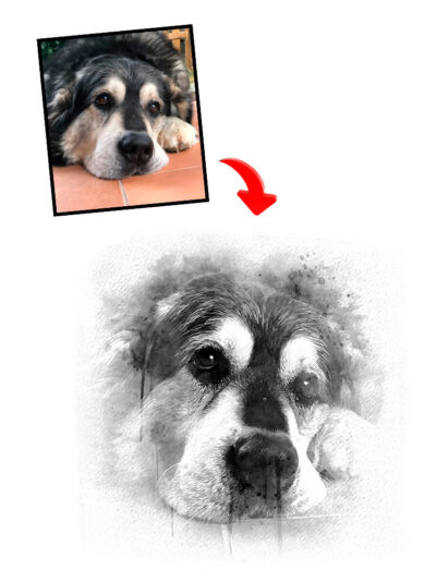 Efecto blanco y negro húmedo